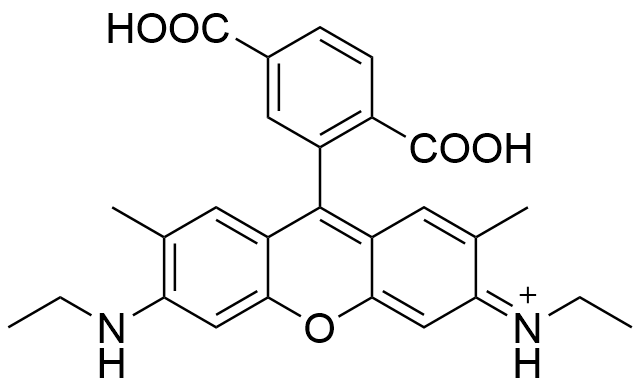 6-Ȼ_6G