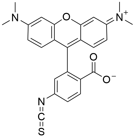 ļ׻_-5(6)